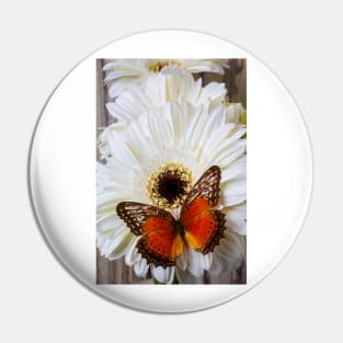 Brown Butterfly Resting On White Daisy Pin