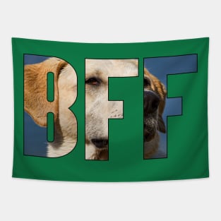 BFF Golden Retriever Photography Typography Pet Dog Tapestry