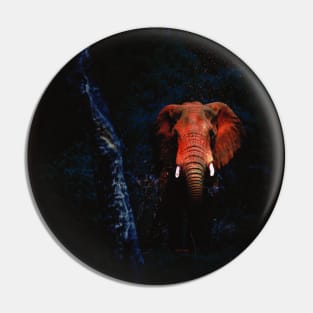 Magic Elephant Pin
