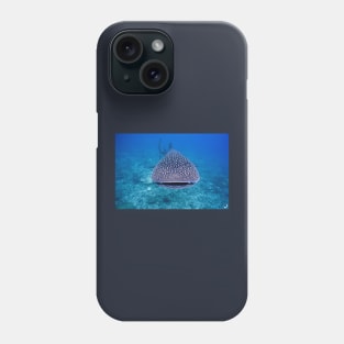 Big whale shark photography Phone Case