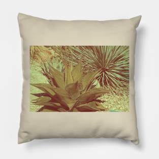 Vintage Agave Pillow