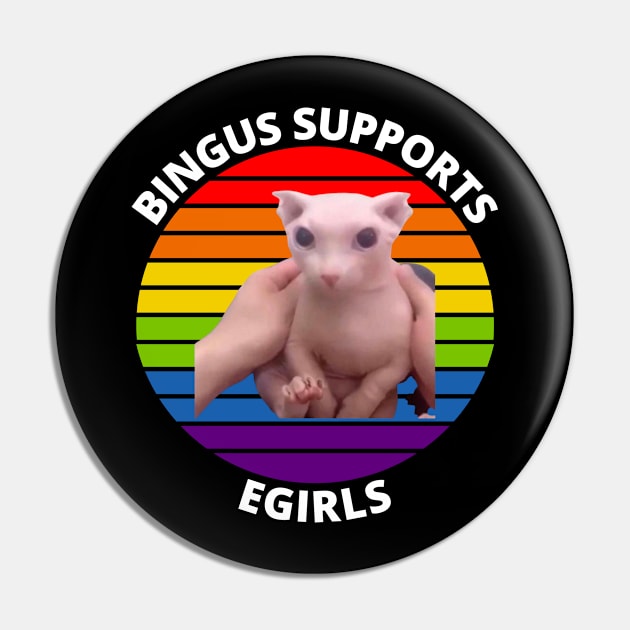 Bingus My Beloved Sphinx Cat Meme Pin by BobaPenguin