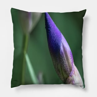 Iris about to bloom Pillow