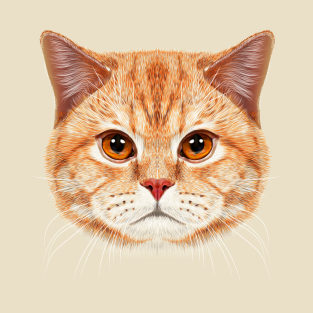 Orange Tabby T Shirts Teepublic