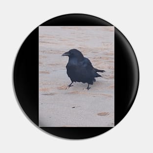 Raven on the Beach Pin