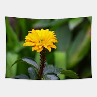 Summertime blooms Tapestry