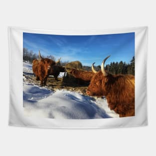 Scottish Highland Cattle Cows 1686 Tapestry