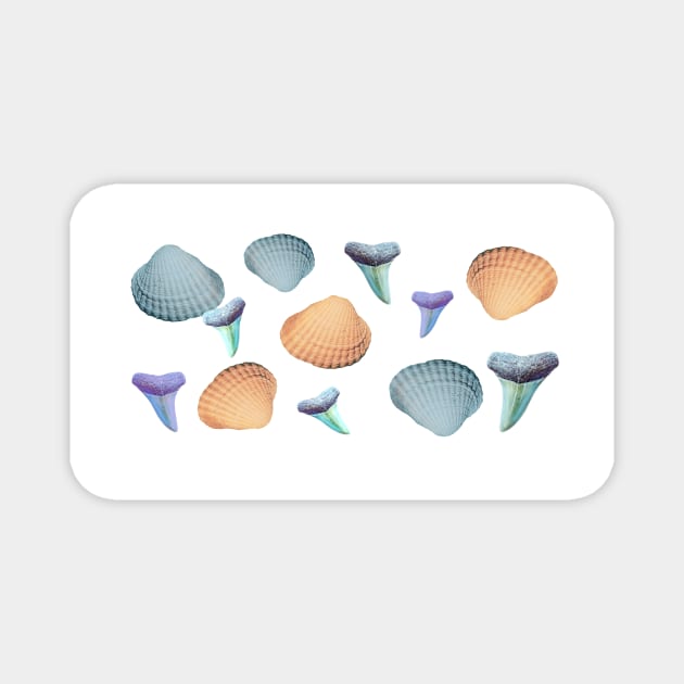 Pastel  Fossils and Shells Magnet by AtlanticFossils