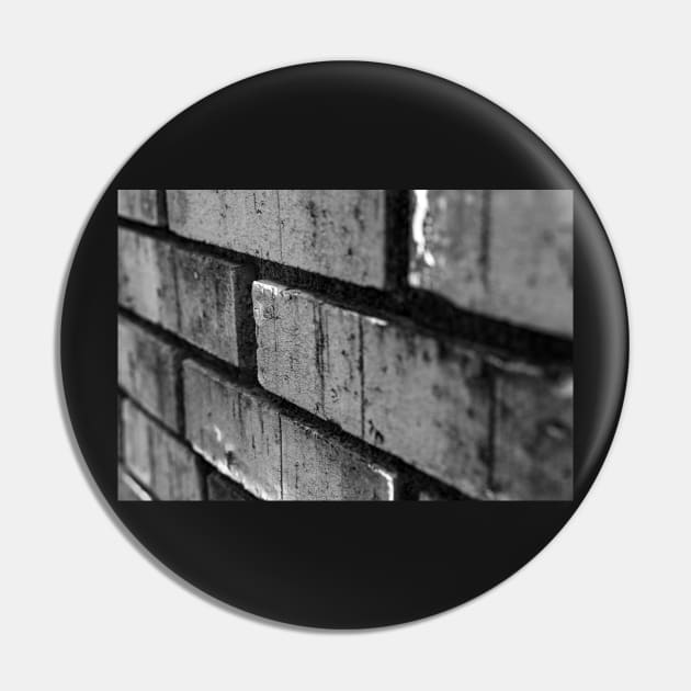 Bricks in a wall Pin by Ckauzmann