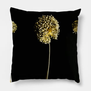 Garlic flower head blossom Pillow