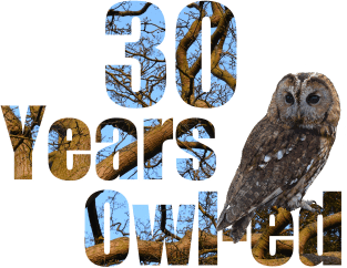 30 years owl-ed (30 years old) 30th birthday Magnet