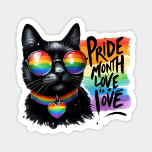 Funny Pride LGBTQIA Trans Black Cat Magnet