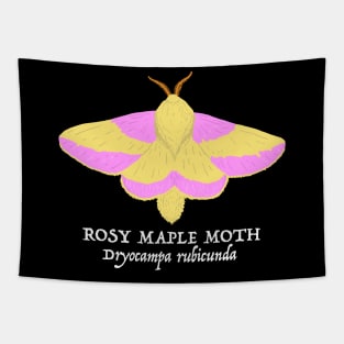 Rosy Maple Moth (Dryocampa rubicunda) Tapestry