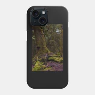 Fiordland 3 Phone Case