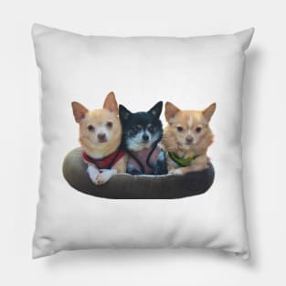 three chihuahuas Pillow