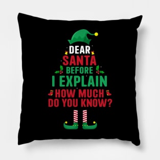 Dear Santa I Can Explain Funny Christmas Pajama Adults Kids Pillow