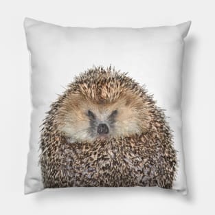 Hedgehog Portrait Pillow