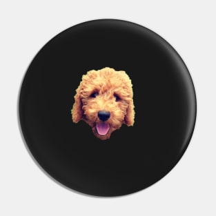 Goldendoodle Pin