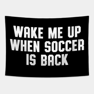 WAKE ME UP WHEN SOCCER IS BACK Tapestry