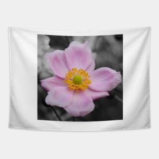 Japanese Anemone Tapestry