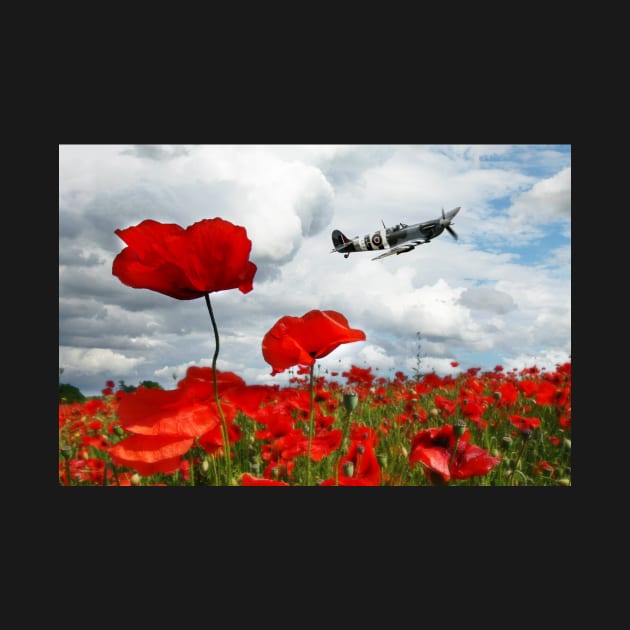 Spitfire Over The Poppy by aviationart