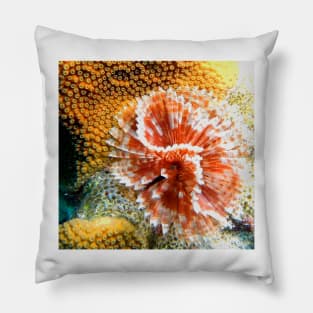 Red and White Feather Duster Coral Worm Pillow