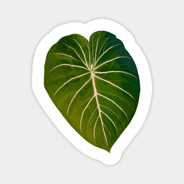 Philodendron gloriosum radiante Magnet by csikarskie