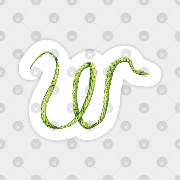 W - Oriental whip snake Magnet by miim-ilustra