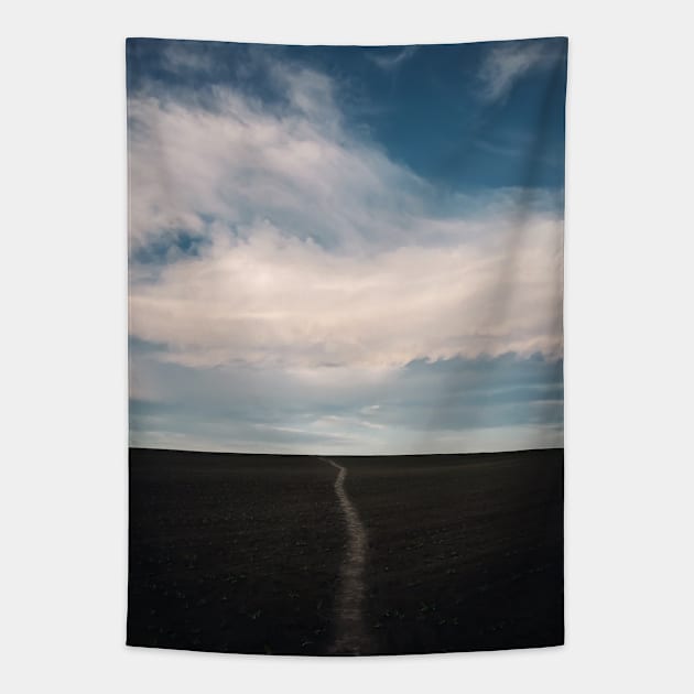 footpath across empty land Tapestry by psychoshadow