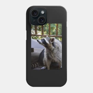 Raccoon Portrait Phone Case