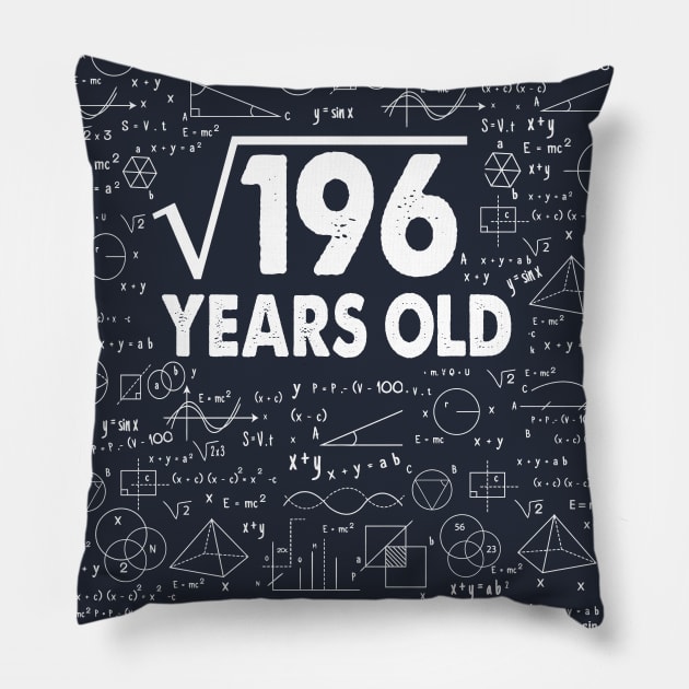 Square Root of 196 14th Birthday 14 Years Old Math Science Lover Gifts Nerdy Geeky Gift Idea Pillow by smtworld