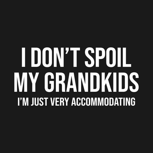 I Don't Spoil My Grandkids I’m Just Very Accommodating Funny Shirt by Bruna Clothing