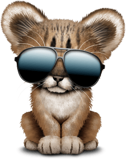 Cute Baby Cougar Wearing Sunglasses Magnet