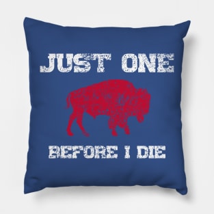 Just One Before I Die Bills Funny Pillow