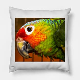 Mi Parro Pillow