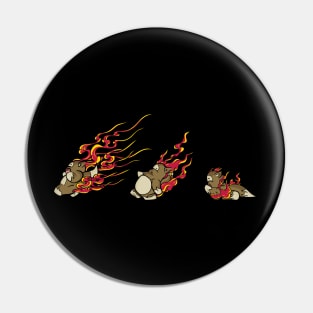 The Tanuki fire gods Pin