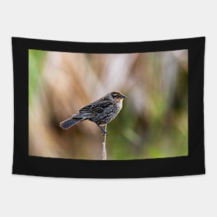 Female Red Wing Blackbird Tapestry