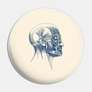 Facial Muscle Diagram - Vintage Anatomy Pin