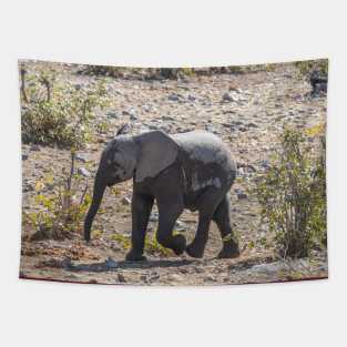 Namibia. Etosha National Park. Baby Elephant. Tapestry