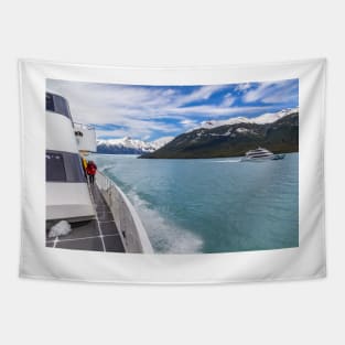 Glacier Boat Trip on Lago Argentino - Argentina Tapestry