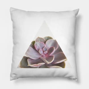 Purple Succulent Pillow