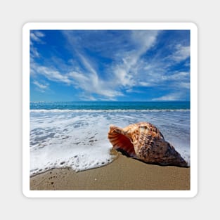 Beach with conch shell under blue sky Magnet