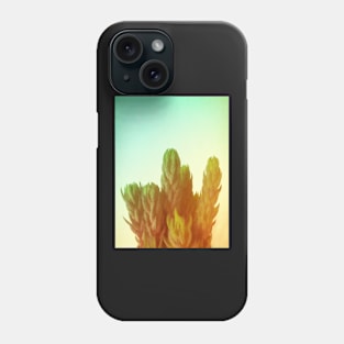 Desert Dream Phone Case