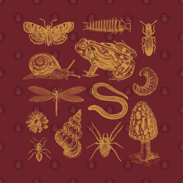 Goblincore Frogs, Snails, Moths, and Mushrooms in a Vintage Biology Aesthetic by Ministry Of Frogs