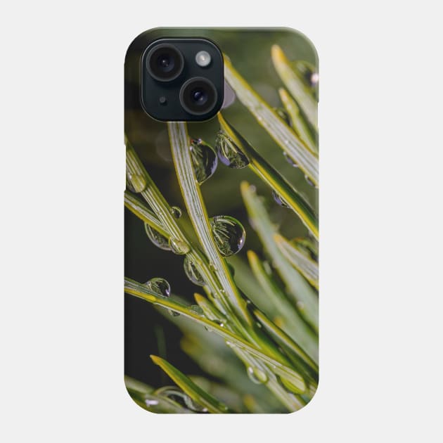 Freezing Rain II, Macro Droplets Photograph Phone Case by love-fi