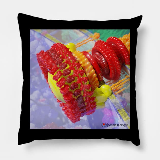 Flagellum Pillow by Smart Biology