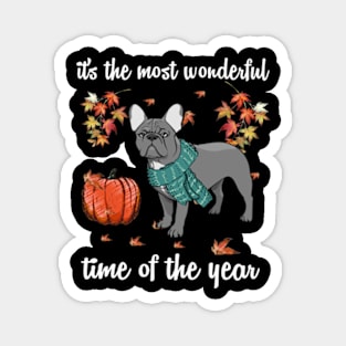 French Bulldog Dog Autumn Fall Most Wonderful Time Maple Magnet