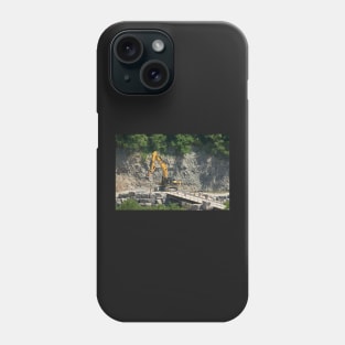 Big Cat Phone Case