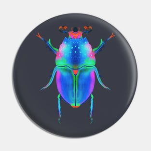 Aesthetic Beetle Painting Pin