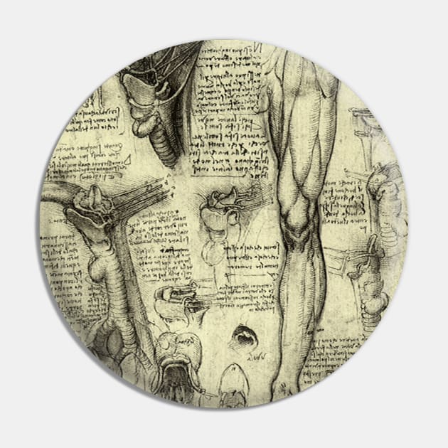 Human Anatomy Leg and Larynx by Leonardo da Vinci Pin by MasterpieceCafe